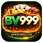 bv999 game logo image