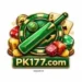 pk177 game logo image